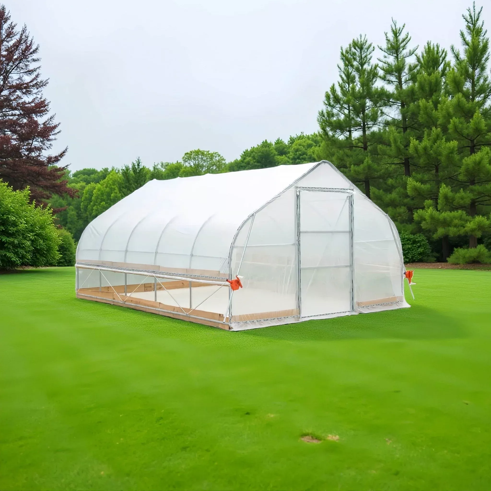 12x30 FT & 12x20 FT Large Metal Frame Walk-In Tunnel Greenhouse for Plant Growth